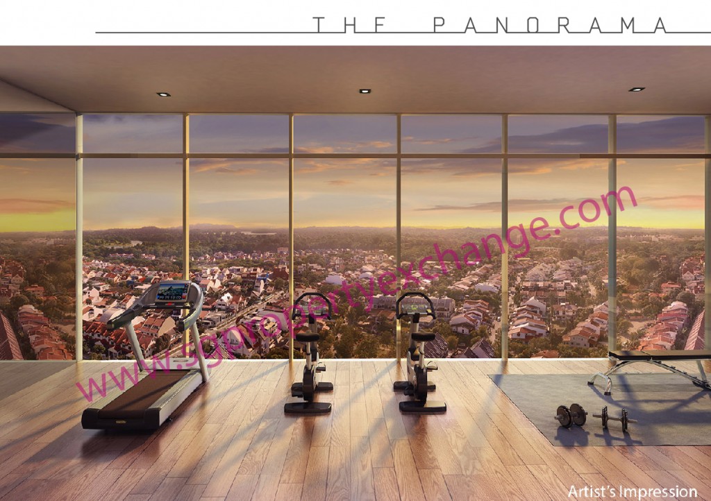 The Panorama Sky Gym-01
